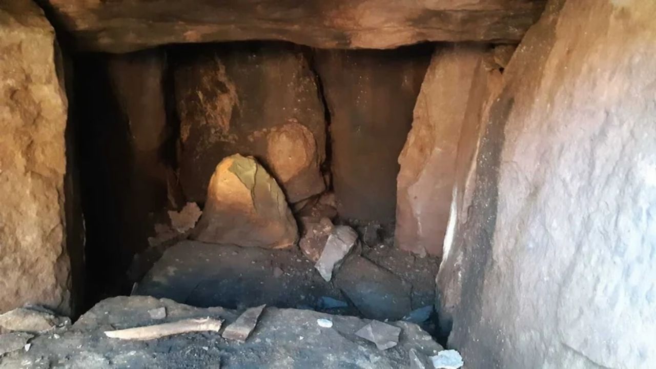 As maiores descobertas divulgadas na semana