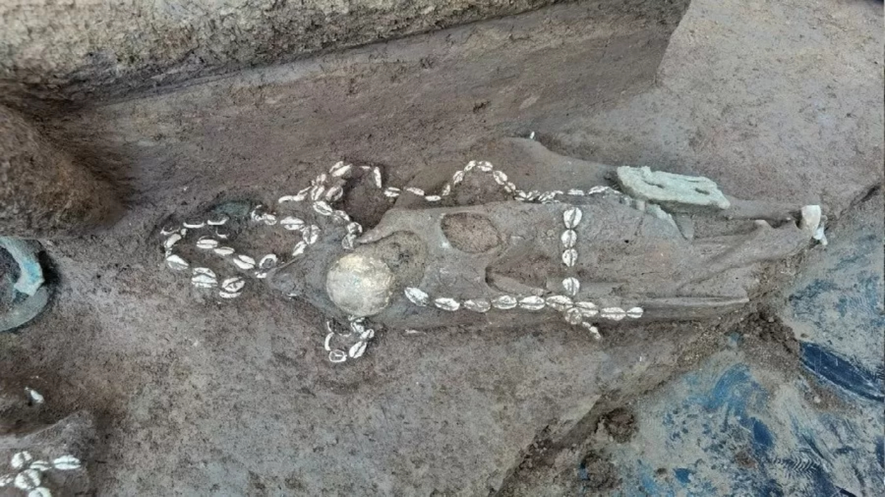 Na China, arqueólogos encontram 24 tumbas de 3 mil anos