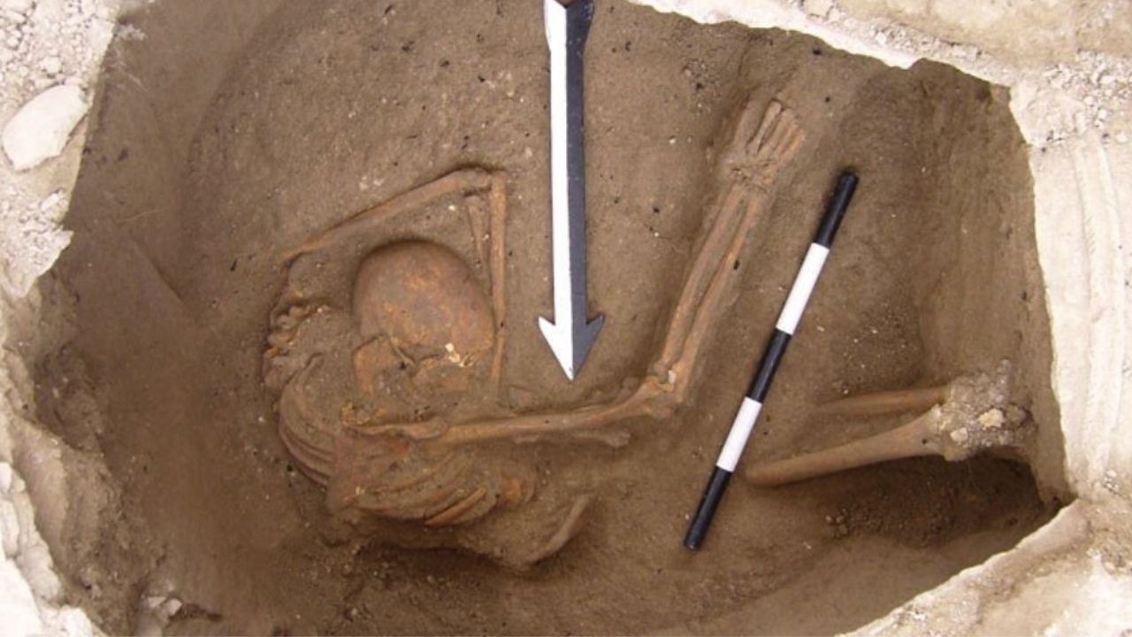 Configuração genética dos cananeus da Bíblia é semelhante à de árabes e judeus modernos