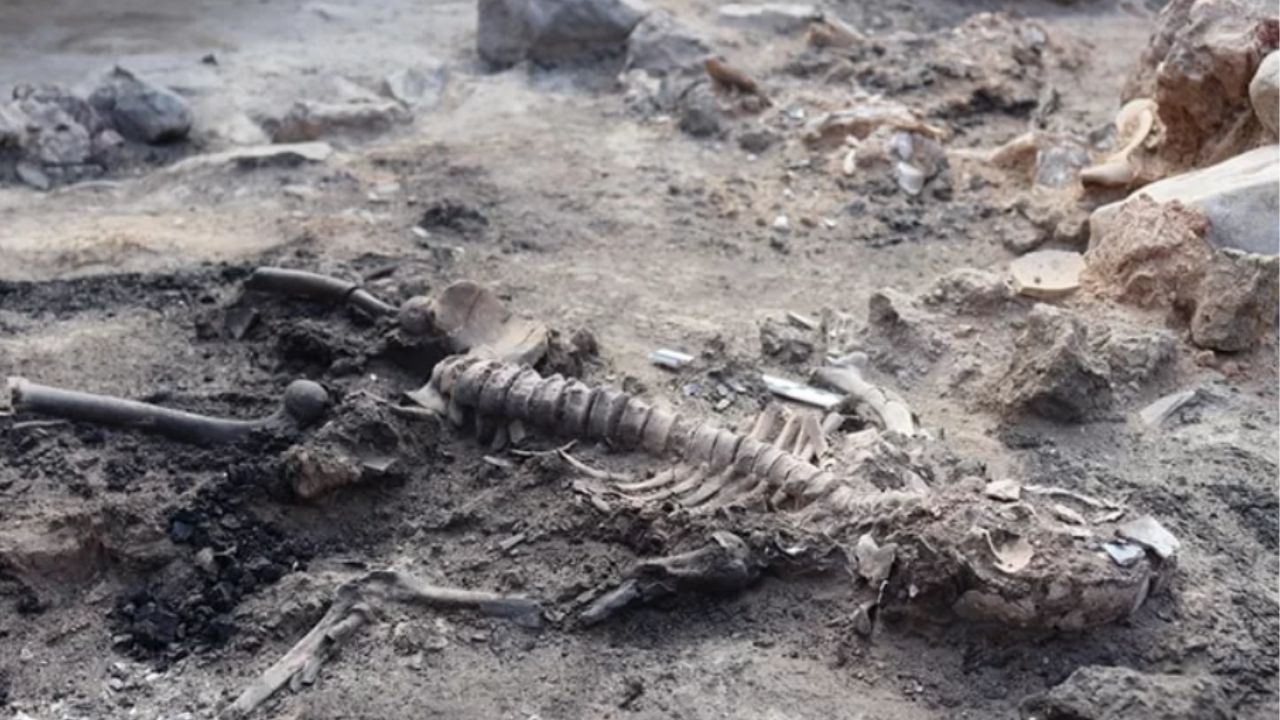Cérebro de 3.700 anos: Restos mortais da Idade do Bronze são descobertos na Turquia