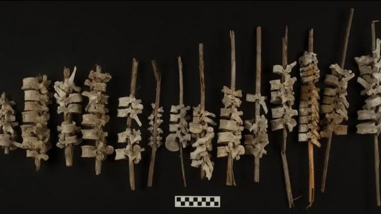 Vértebras humanas em ‘estacas’ são encontradas em sepulturas indígenas no Peru