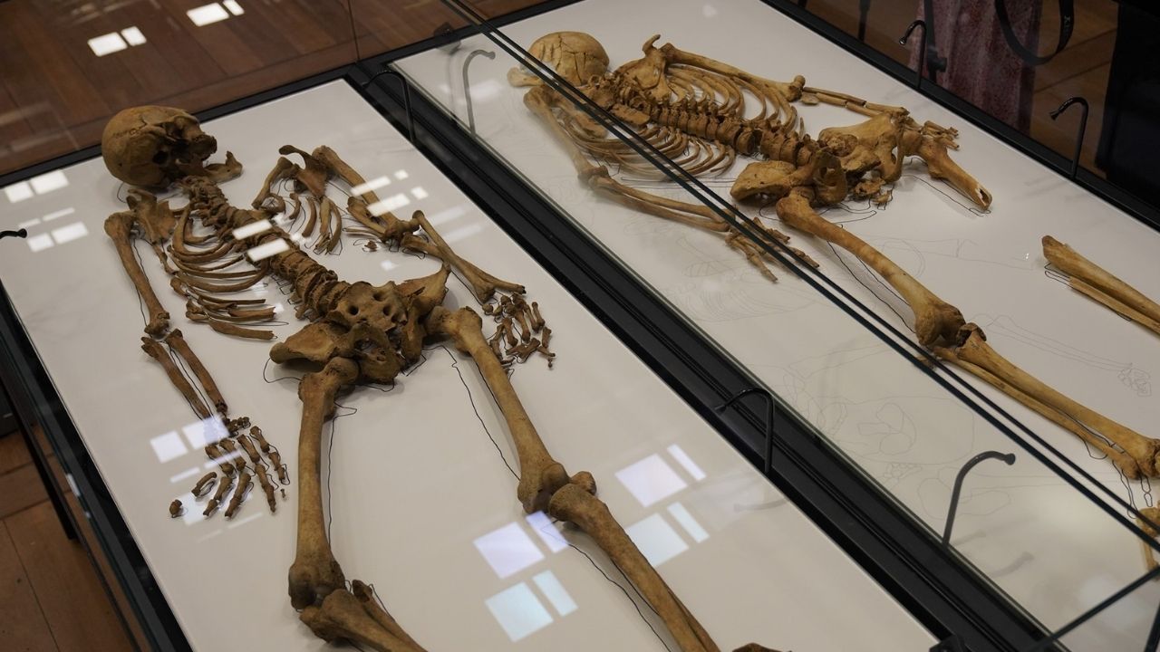 Impressionante: Esqueletos de membros de uma família viking são reunidos em museu