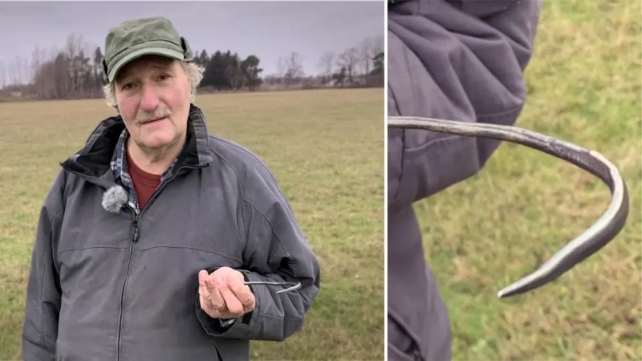 Agulha de prata viking é encontrada por fazendeiro na ilha de Gotland, na Suécia