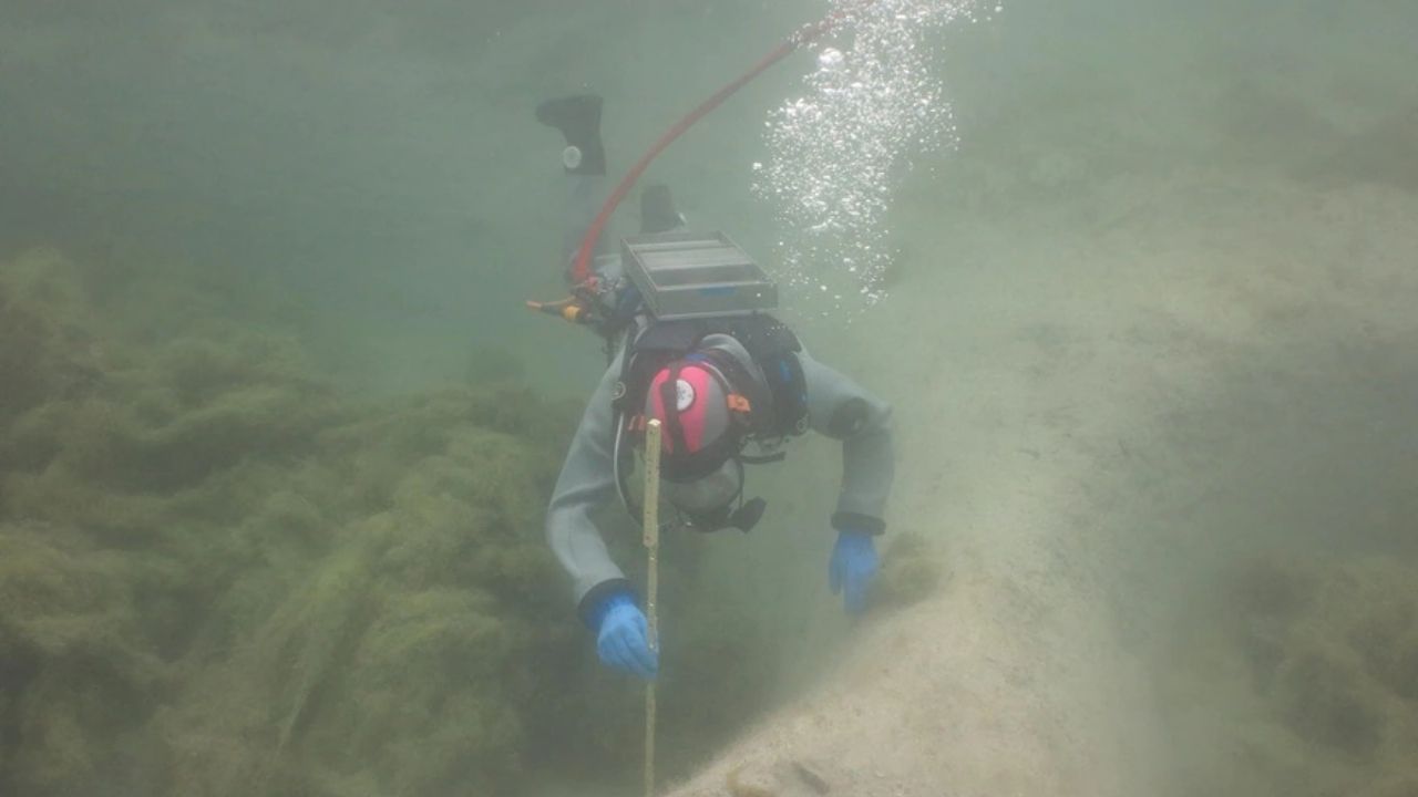 A impressionante vila submersa de 3 mil anos encontrada em um lago da Suiça
