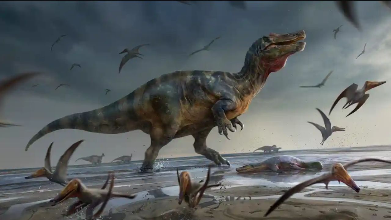 Ossos de dinossauro de 10 metros de comprimento são encontrados na Inglaterra