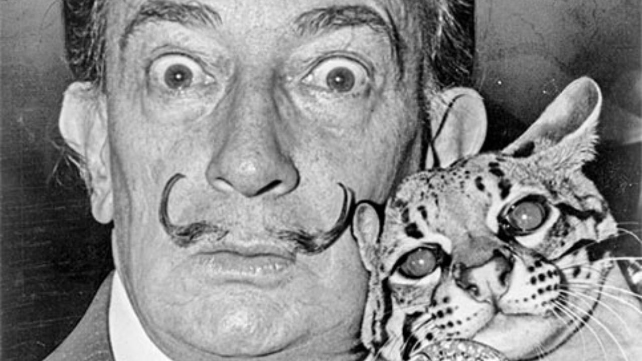 Exame de DNA encerra mistério sobre possível filha perdida de Salvador Dalí