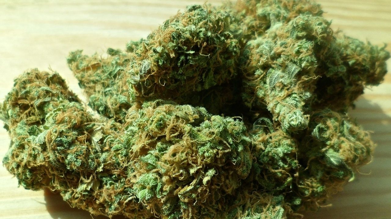 México: Câmara dos Deputados aprova legalização da cannabis para fins recreativos e medicinais