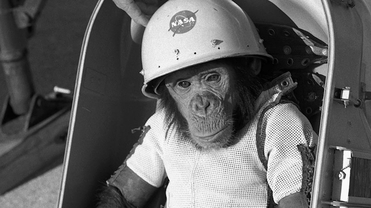 Ham: o primeiro astronauta americano