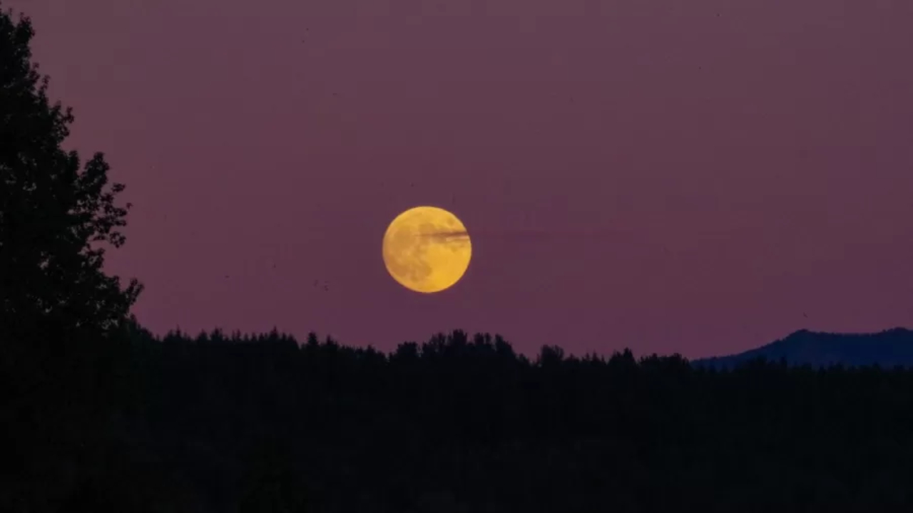 Superlua de morango: entenda fenômeno que acontecerá nesta terça-feira (14)