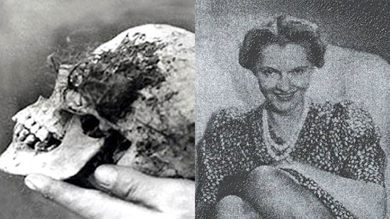 O crânio encontrado em uma árvore que iniciou um mistério eterno