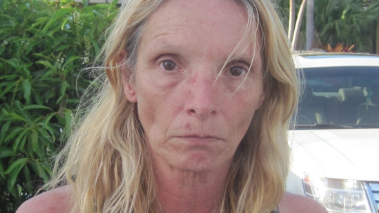 Brenda Heist, a mulher que deixou os filhos na escola e nunca mais voltou para buscá-los