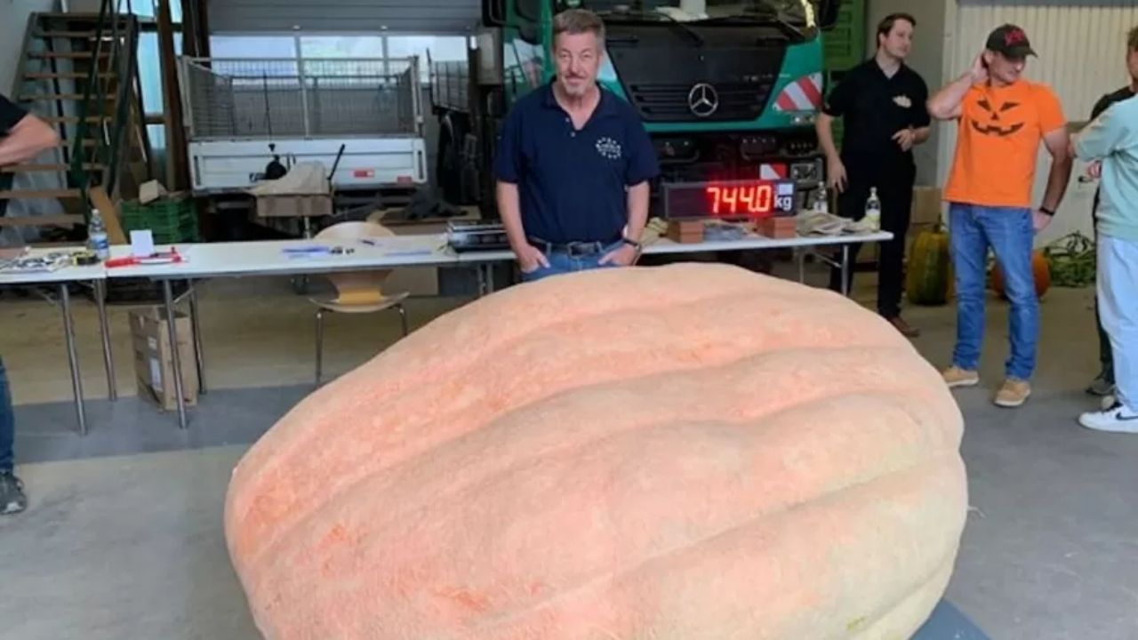 Alemão vence concurso internacional ao levar abóbora gigante de 744 kg
