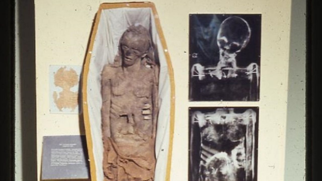 Enganou até historiadores: A bizarra múmia de papel machê de Mississippi