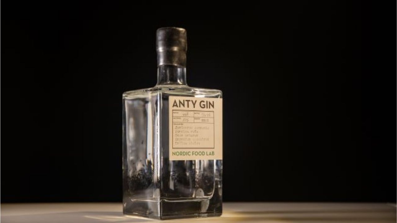 Vinho de cocô humano e gim de insetos são expostos em museu bizarro na Suécia