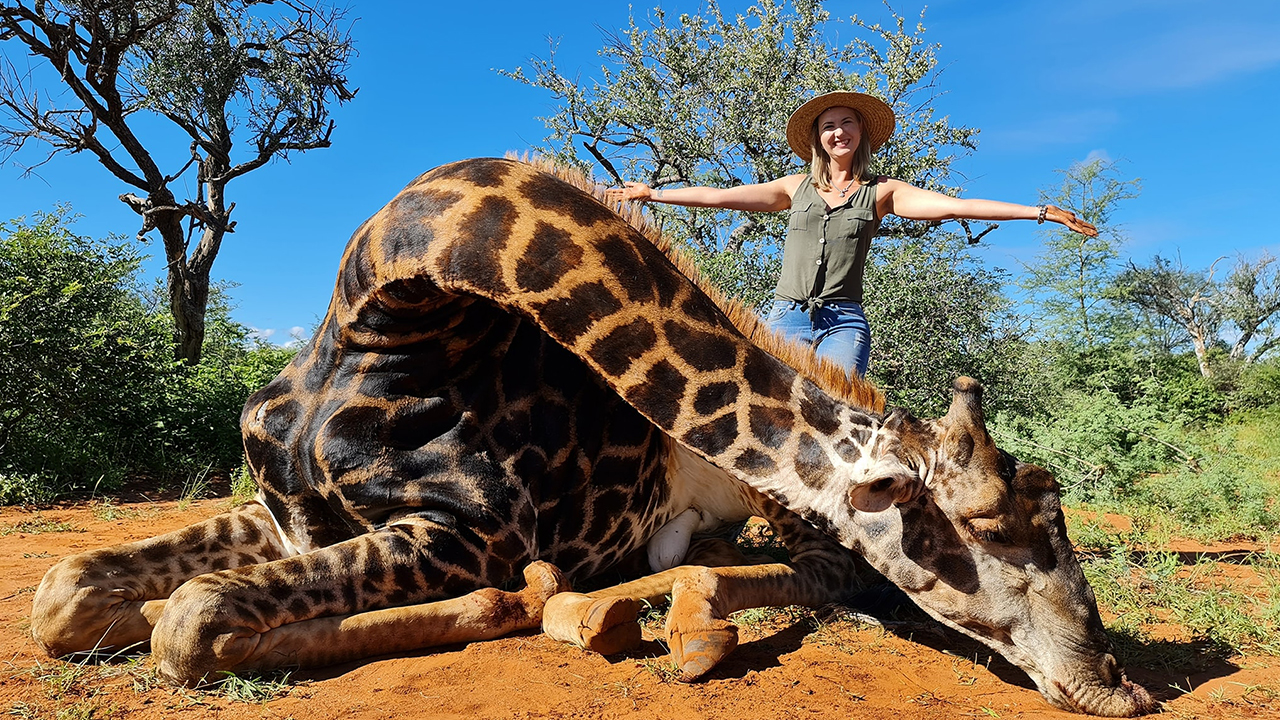 O inacreditável caso da caçadora que matou uma girafa como ‘presente’