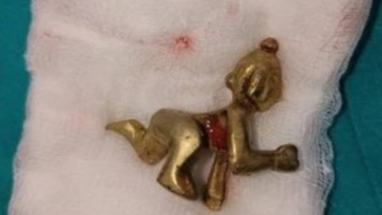 Mais lidas: Na Índia, homem engole pequena imagem de deus hindu por acidente