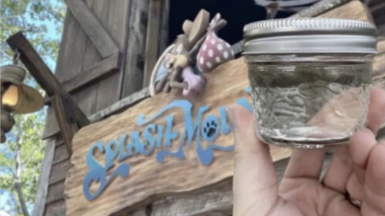 Norte-americanos vendem água de brinquedo aquático da Disney