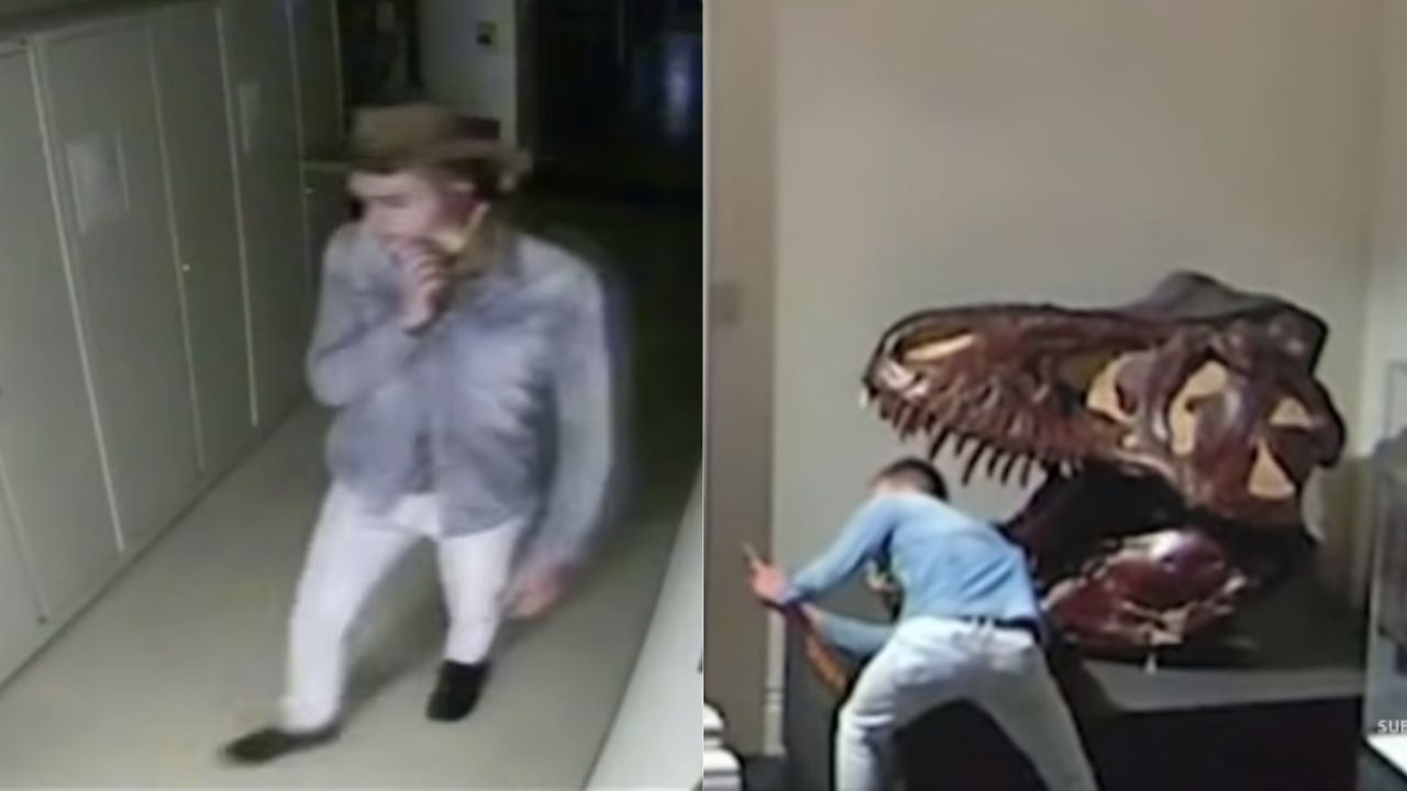 Homem invade museu fechado pela quarentena para tirar selfies com dinossauros na Austrália