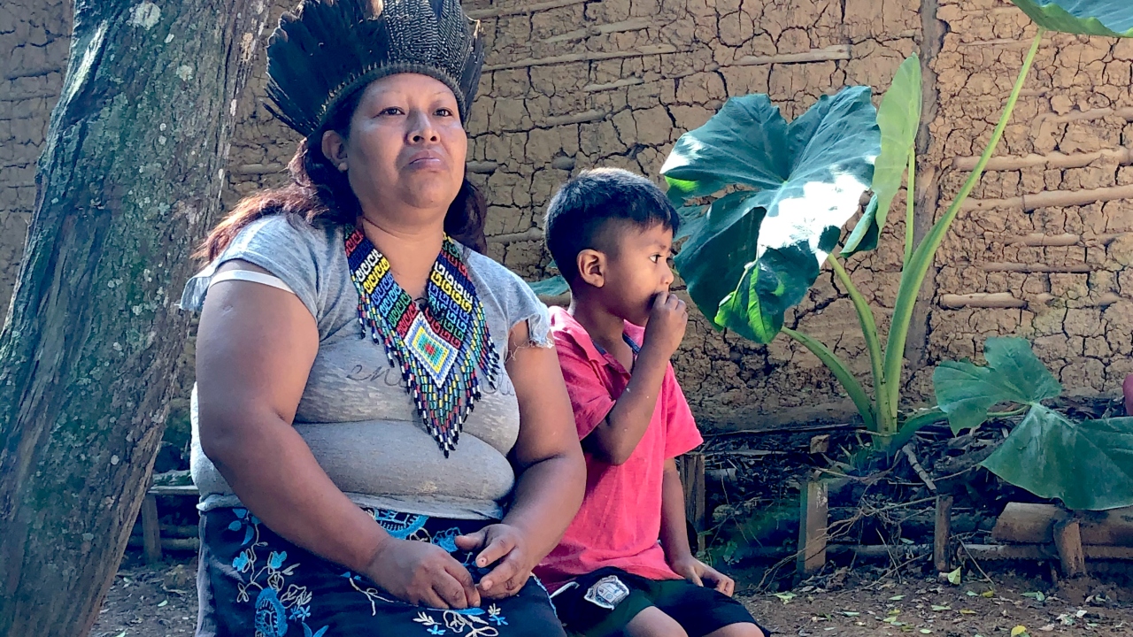 No Dia do Índio, você poderá visitar uma aldeia indígena virtualmente