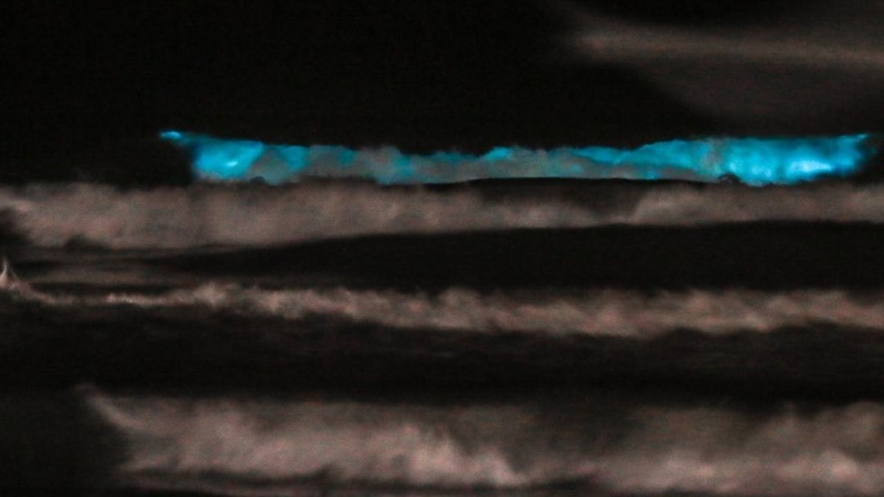 O que é bioluminescência, fenômeno registrado em águas gaúchas?