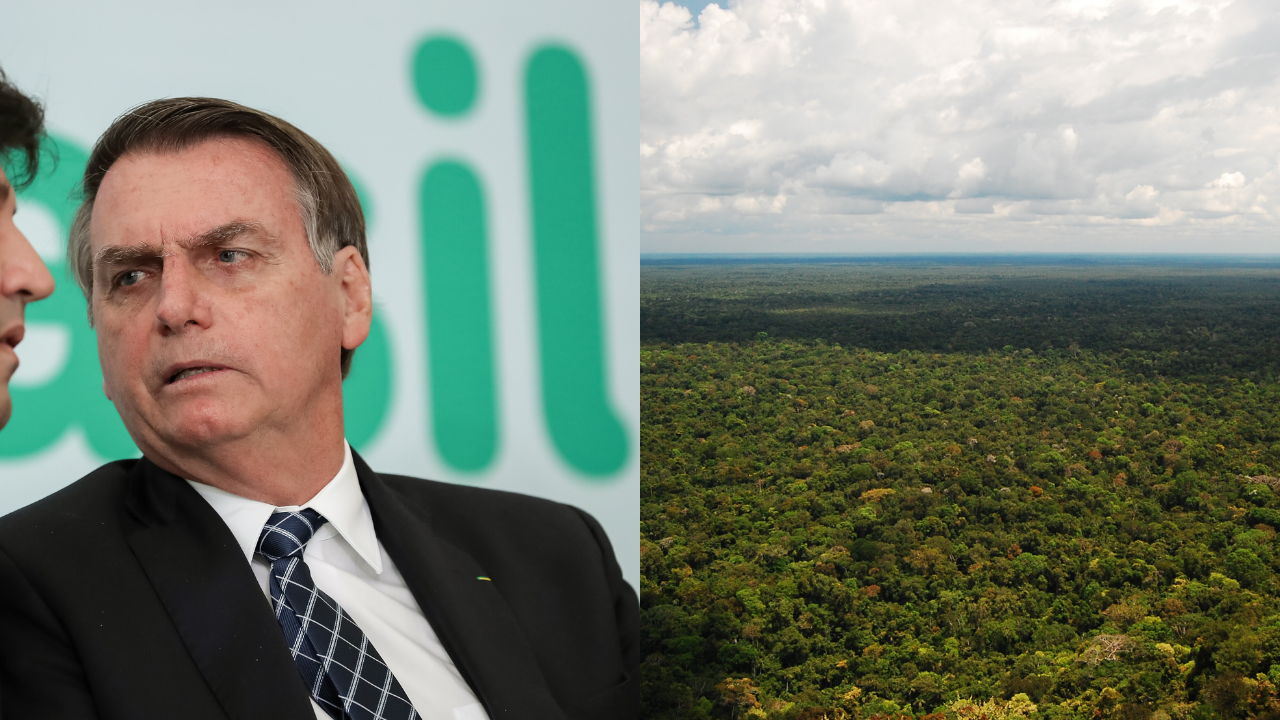 Bolsonaro fala sobre destruição da Amazônia: “Coisa que não existe”