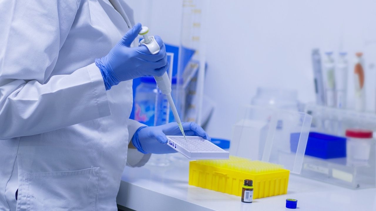 Anvisa emite alerta sobre 1º caso de “superfungo” resistente a medicamentos no Brasil