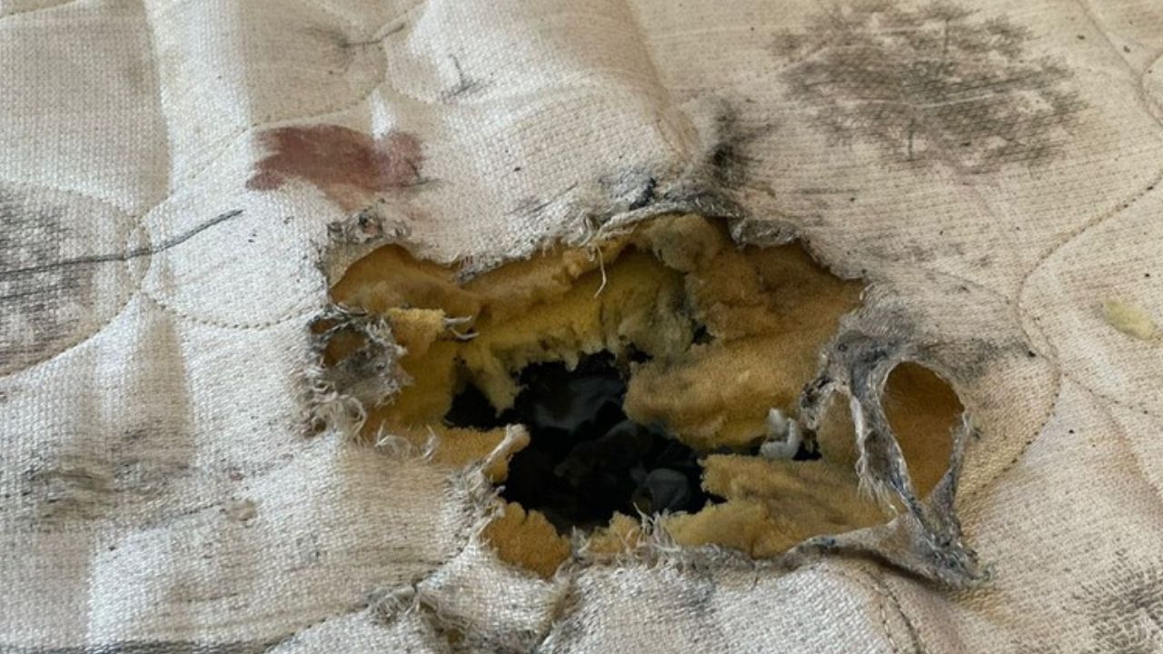 Menina de 4 anos morre ao ser atingida por explosivo