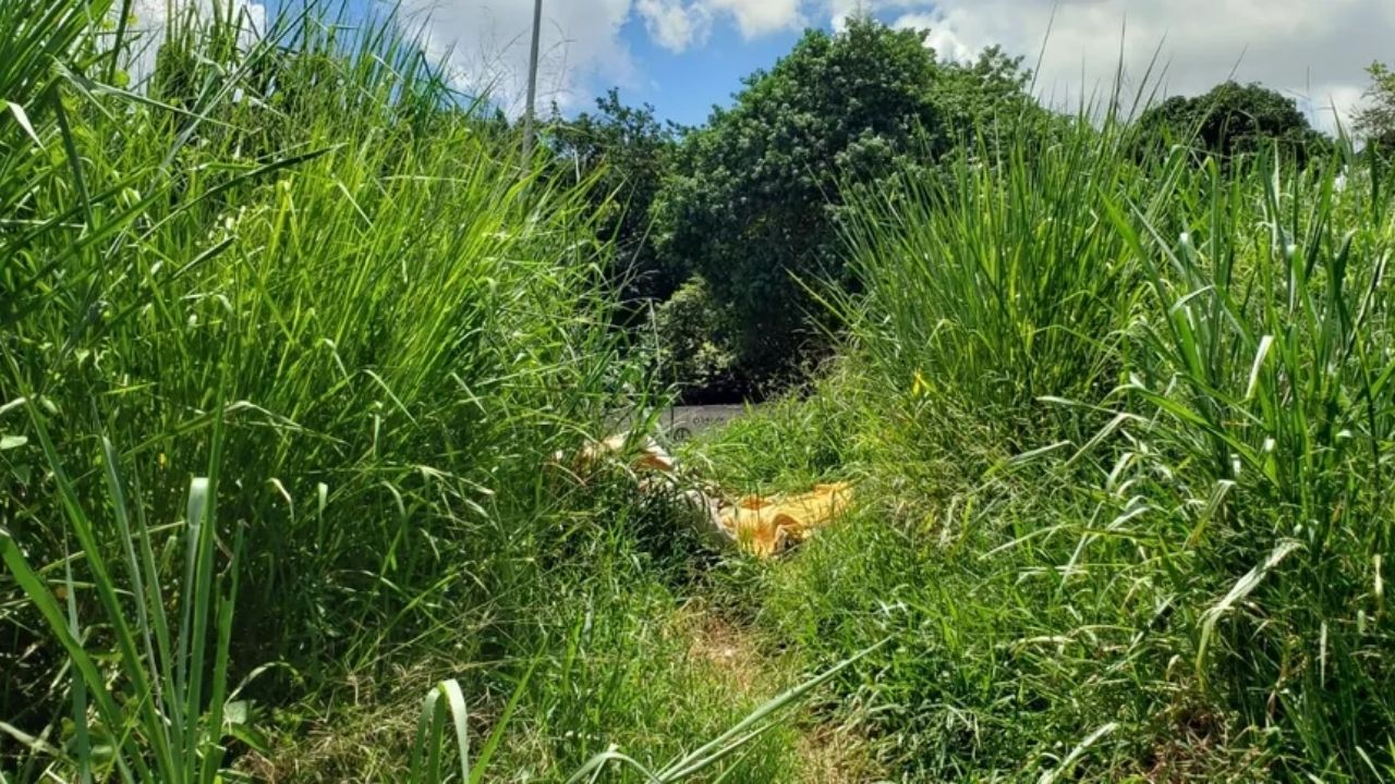 Corpo sem cabeça é encontrado amarrado a colchão em Belo Horizonte