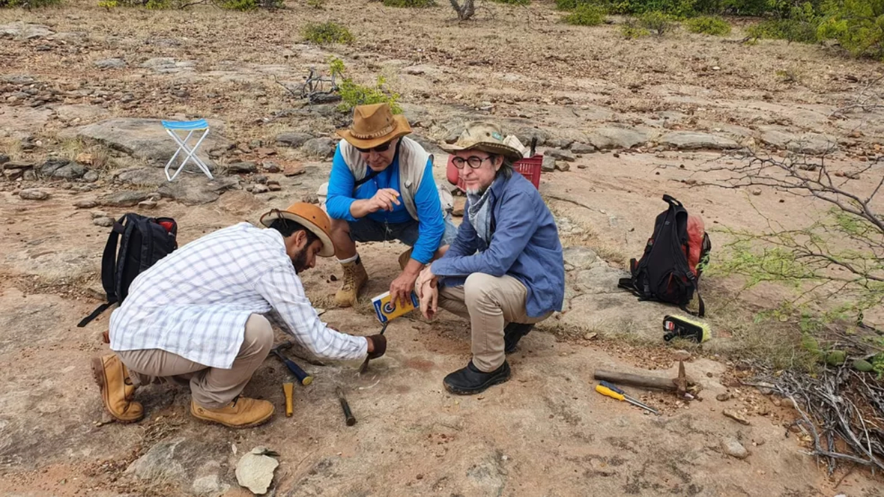 Pesquisadores concluem que osso de dinossauro é o mais antigo já encontrado no Nordeste