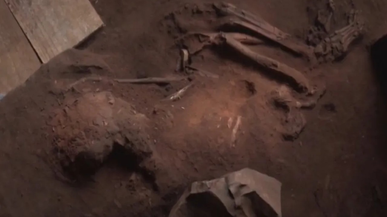 Fóssil de ser humano que pode ter quase 12 mil anos é encontrado em Goiás