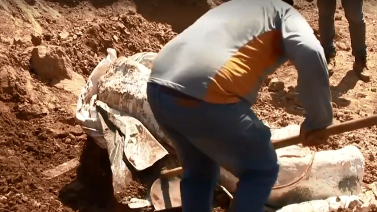 Após 8 anos, fóssil de dinossauro é retirado do local em que foi achado