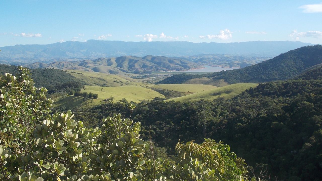 Desmatamento da Mata Atlântica será mapeado por pesquisa internacional