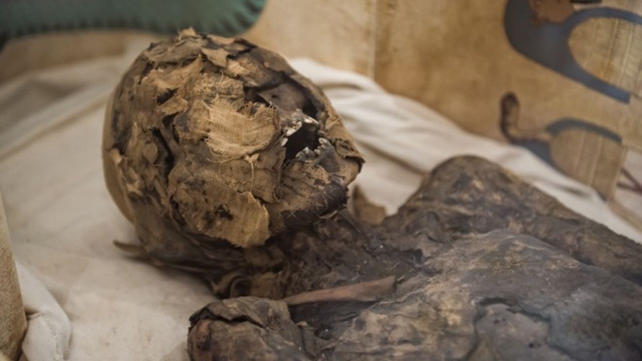 Conheça Tothmea, a múmia egípcia que está no Brasil