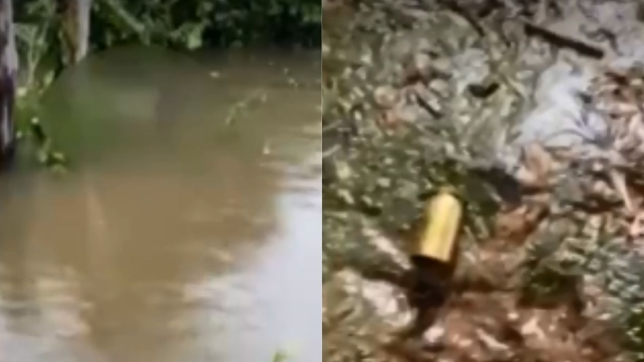 Família de ambientalistas é morta no Pará