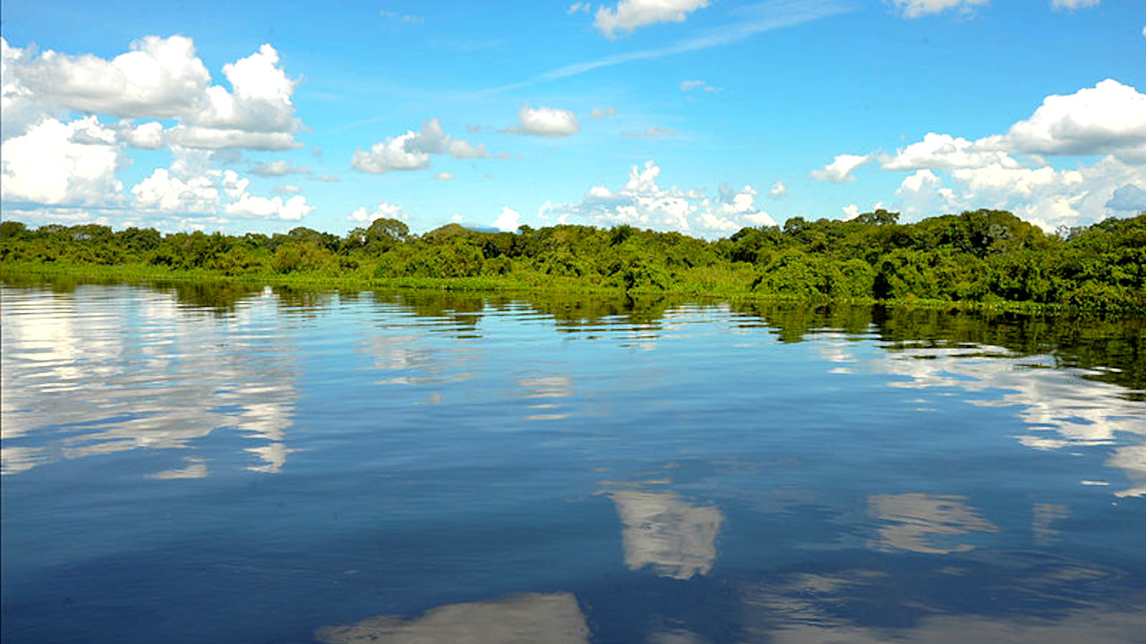 Da fauna rica aos biomas: Veja 5 fatos sobre o Pantanal