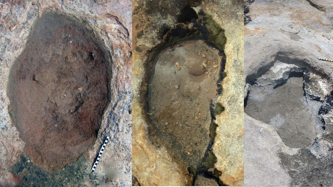 Pegadas de dinossauro de 120 milhões de anos são identificadas no Rio Grande do Norte