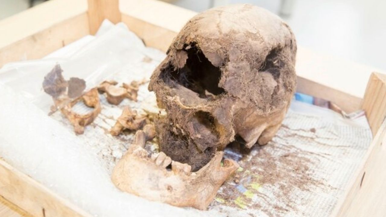 Cientistas acreditam ter encontrado esqueleto de marinheiro britânico de 250 anos