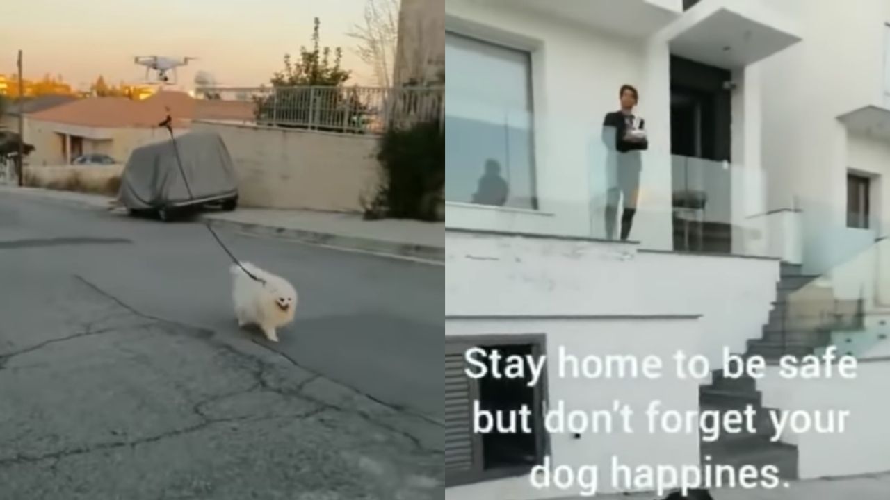 Homem usa drone para passear com o cachorro durante a quarentena, no Chipre