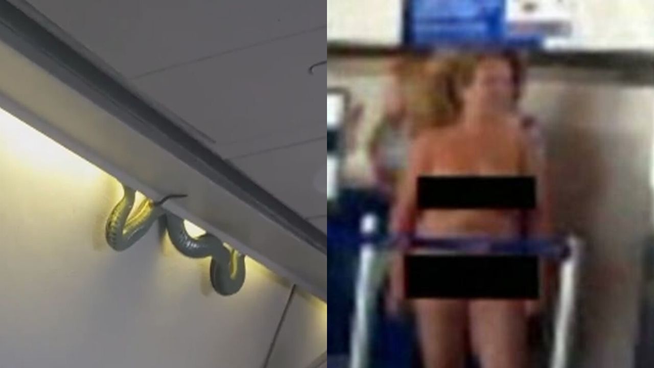 De cobra na cabine a protesto nu: 5 histórias bizarras em aviões