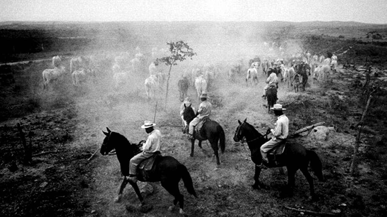 Os Sertões de Guimarães Rosa e as Minas Gerais em 7 imagens