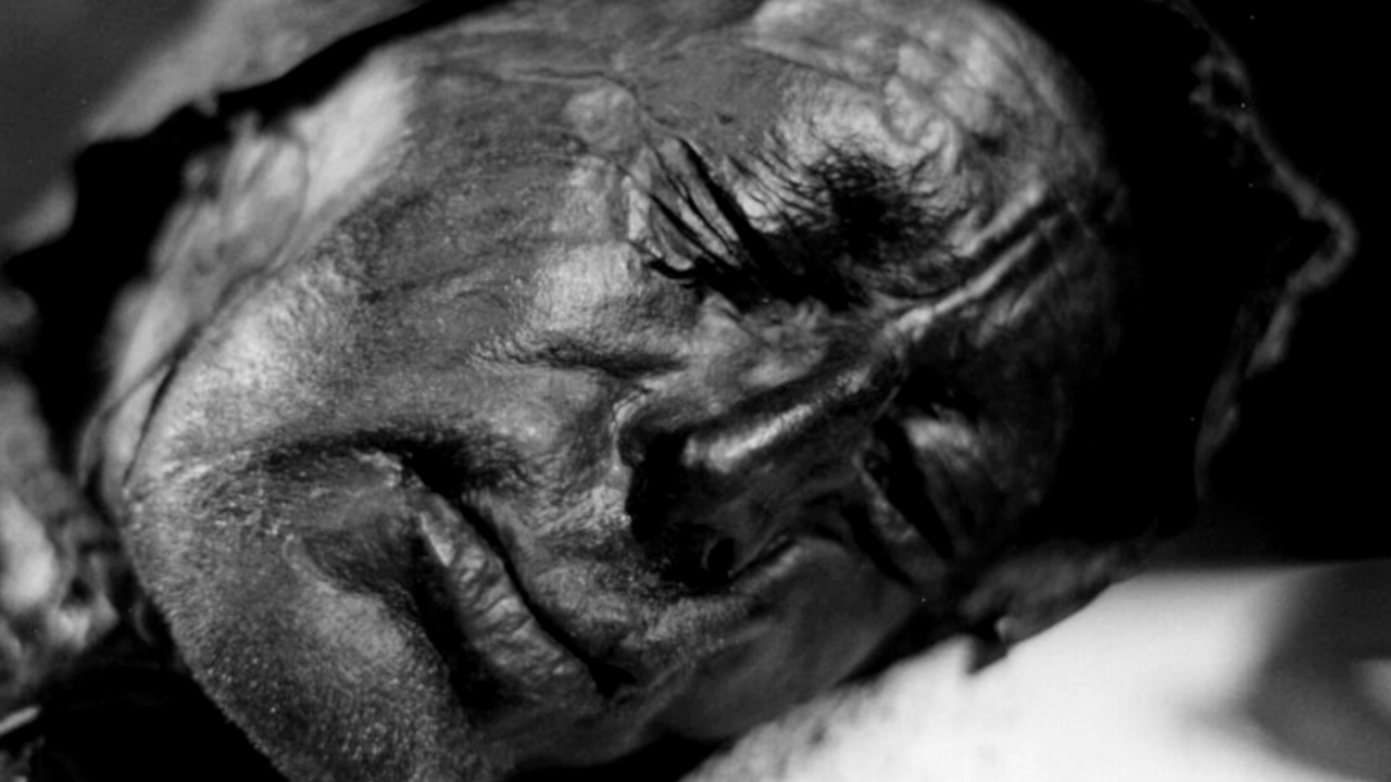 Incrivelmente preservado: confira 5 curiosidades sobre o Homem de Tollund