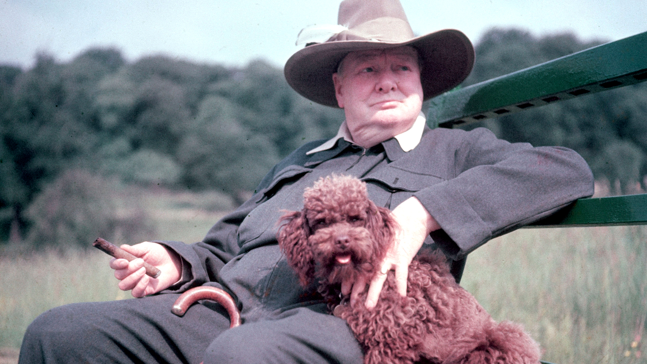 Winston Churchill: 13 vezes em que o primeiro-ministro do Reino Unido passou dos limites