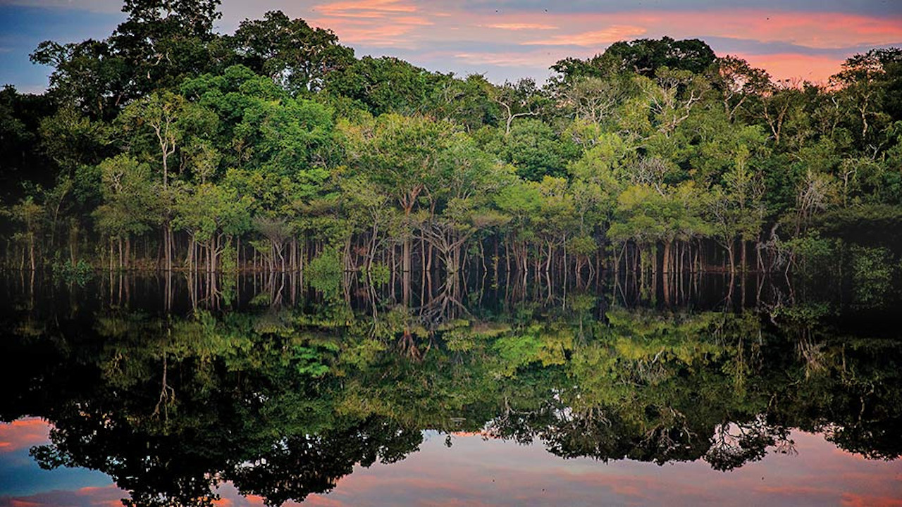 Amazônia Antiga: Uma floresta culturalmente intensa