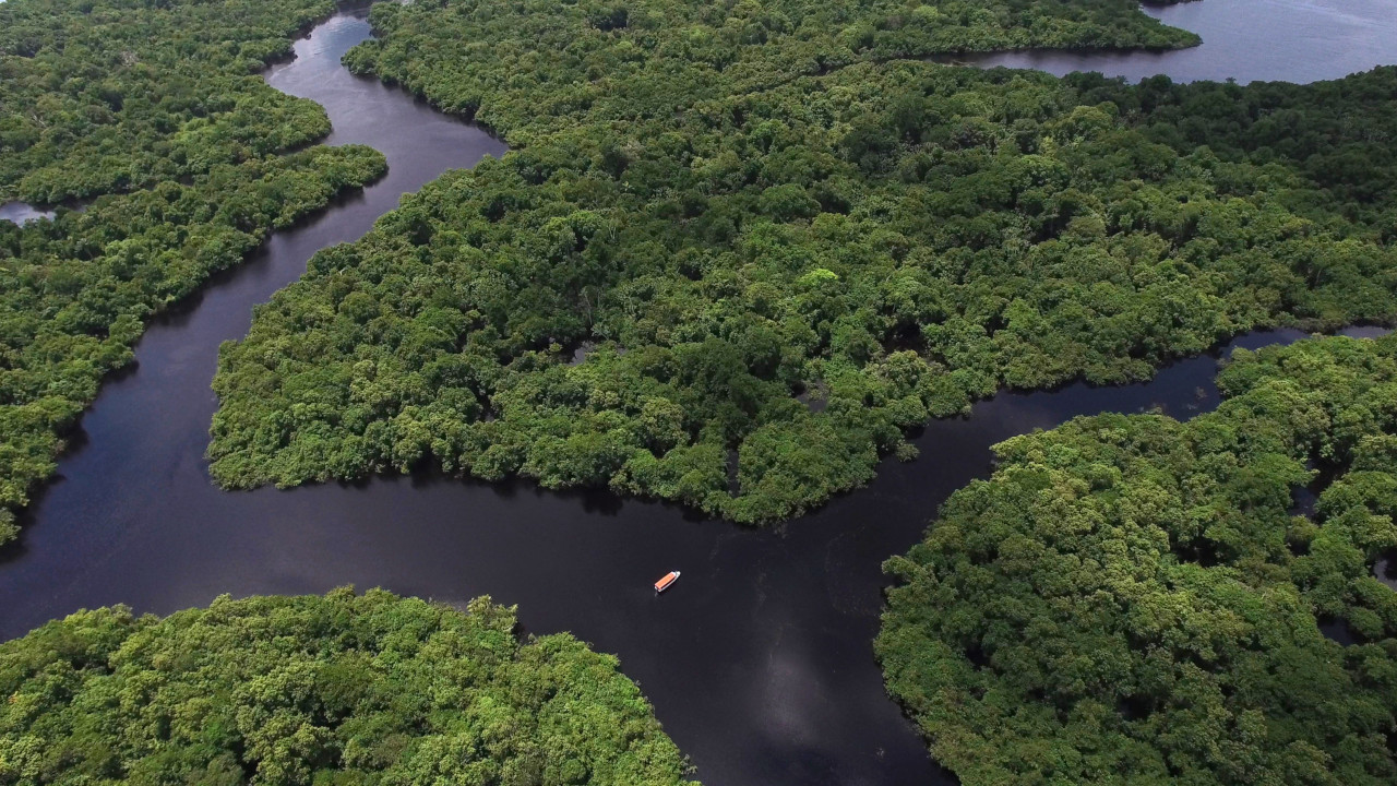 Da pré-história ao século 21: “História da Amazônia” resgata processos sociais e históricos no seio da floresta