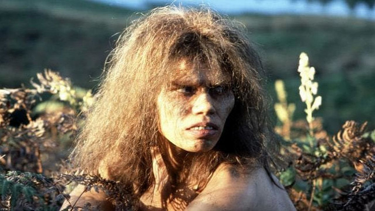 Humanos pré-históricos competiram com hienas, lobos e ursos para dormir em cavernas