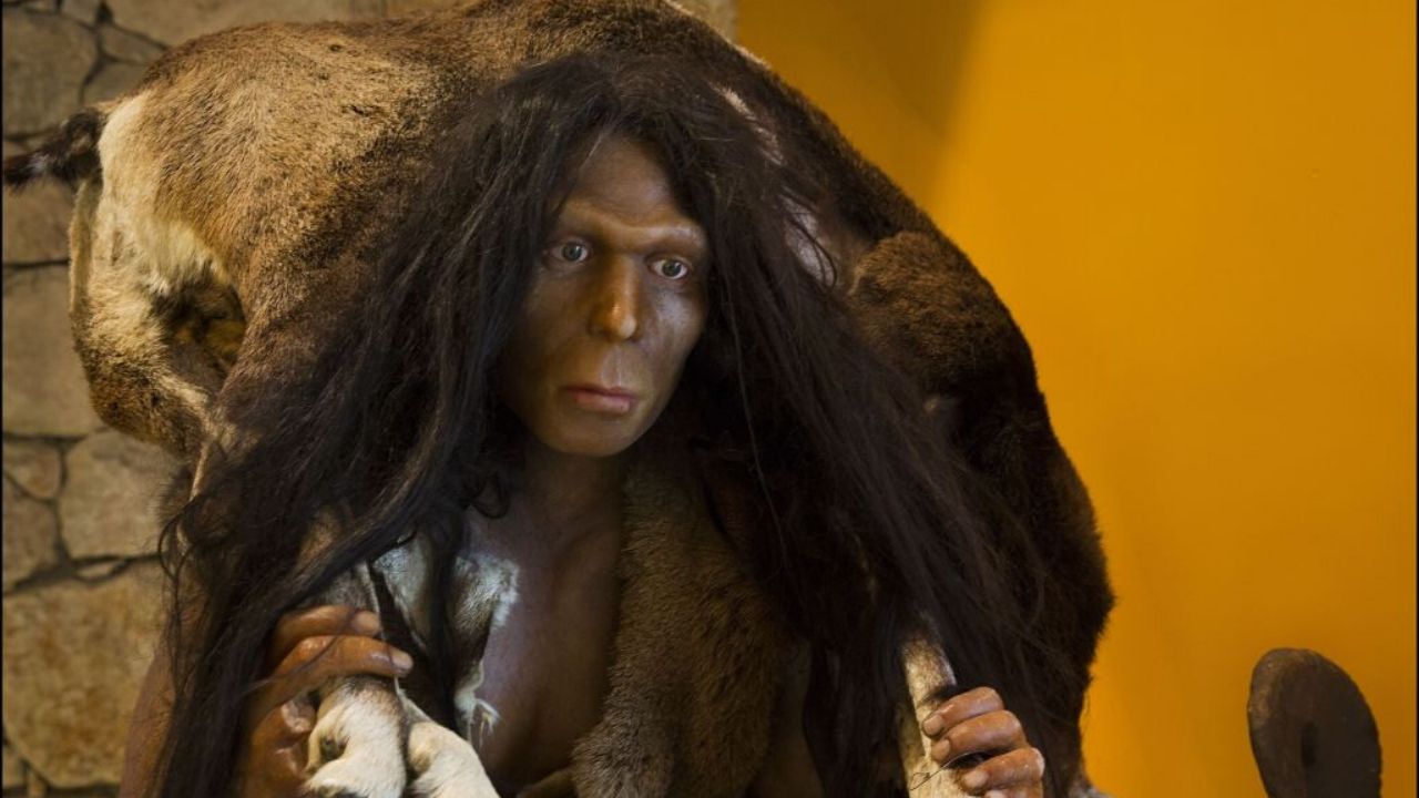 Cientistas sequenciam, pela primeira vez, material genético preservado em fósseis de Homo erectus