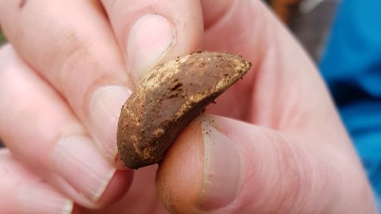 Encontrados vestígios da Batalha de Glenshiel, na Escócia