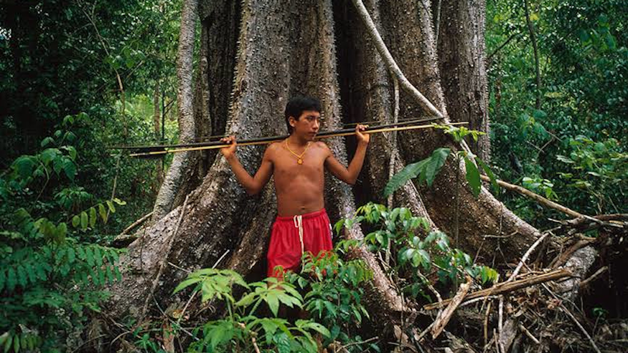 Incêndios na Amazônia ameaçam a vida de 300 povos indígenas