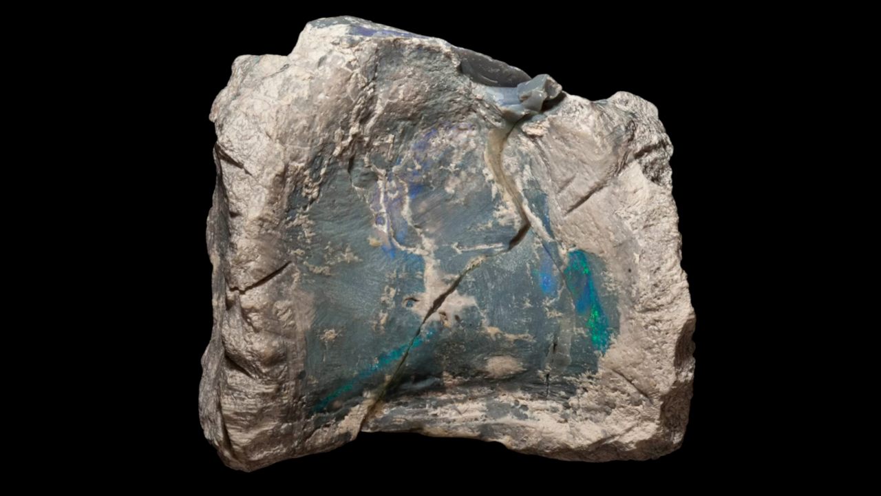Ossos de dinossauro conservados em pedra preciosa são encontrados na Austrália