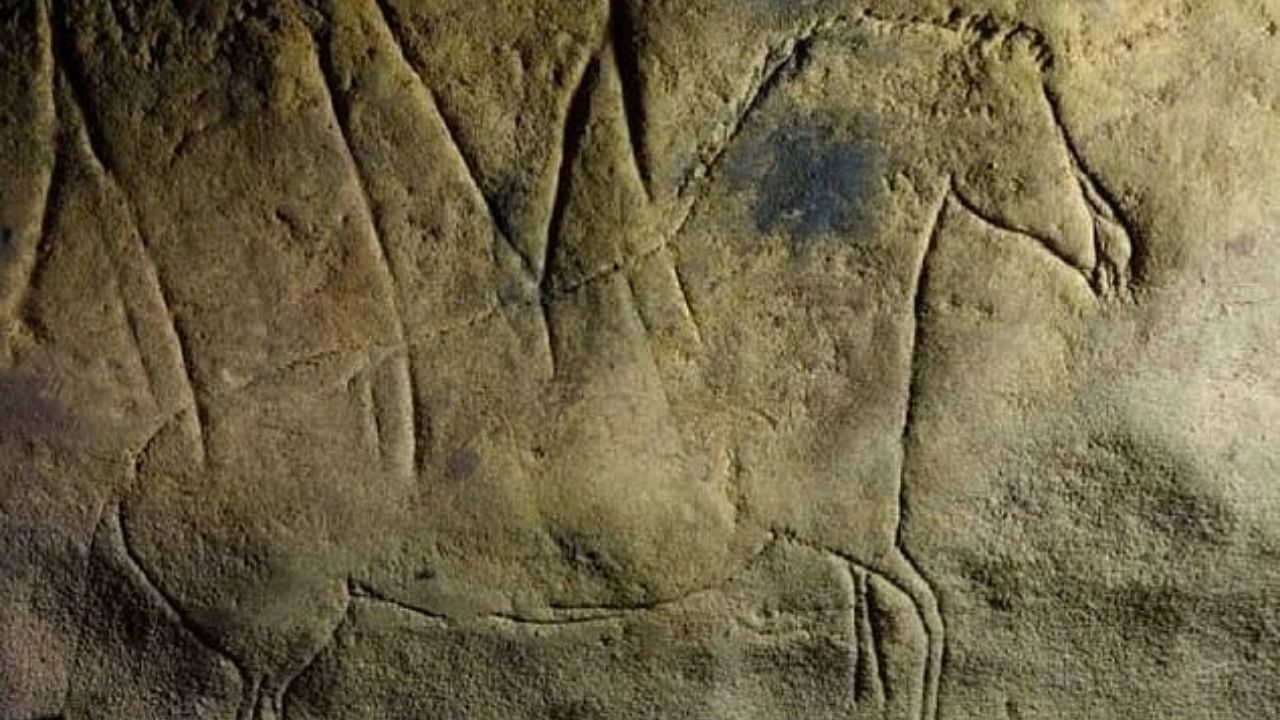 Na Espanha, foram encontradas mais de 100 artes rupestres paleolíticas. Confira!